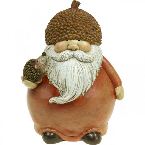Floristik24 Figura de diabrete com bolota e ouriço figura decorativa outono marrom Alt. 19cm