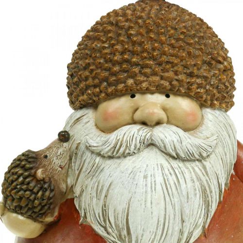 Floristik24 Figura de diabrete com bolota e ouriço figura decorativa outono marrom Alt. 19cm