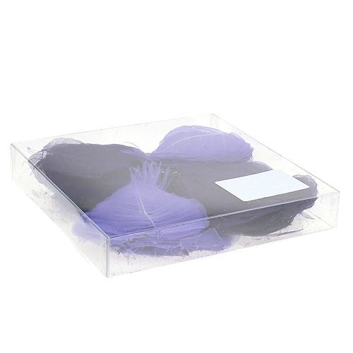 Floristik24 Folhas de salgueiro tipo roxo esqueletizado. 200 peças
