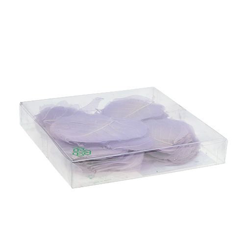 Floristik24 Folhas de salgueiro esqueletizadas roxo claro 200 unid.