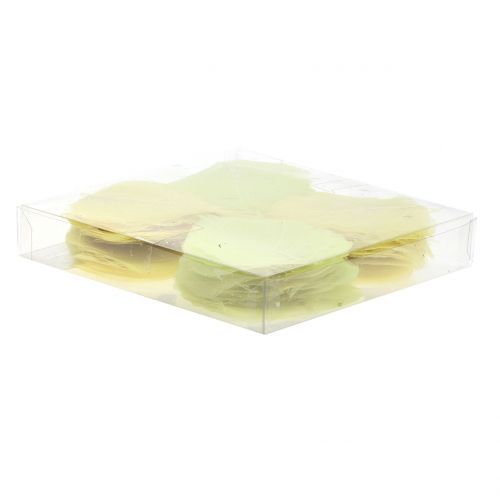 Floristik24 Folhas de salgueiro mistura amarela esqueletizada 200 un