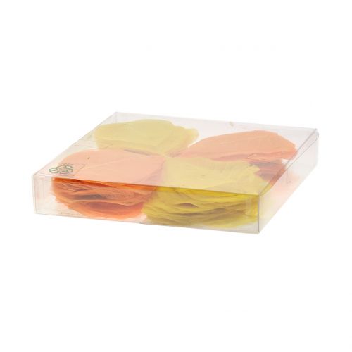Floristik24 Folhas de salgueiro esqueletizadas amarelo, laranja 200 un