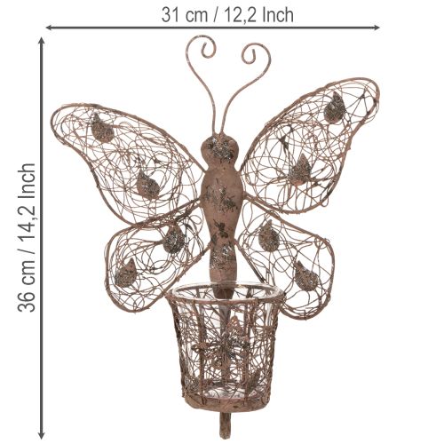 Lanterna de metal, decoração de parede, borboleta, acabamento envelhecido, 36,5 cm | Floristik24.pt