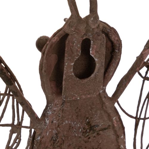 Lanterna de metal, decoração de parede, borboleta, acabamento envelhecido, 36,5 cm | Floristik24.pt