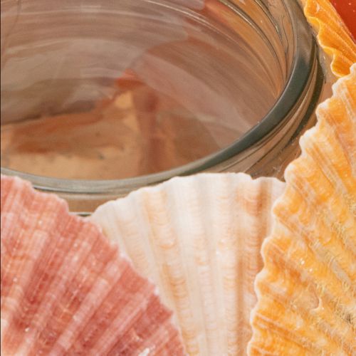 Itens Porta-velas náutico, lanterna, conchas marinhas verdadeiras, decoração para banheiro, ambiente de férias, 12 cm