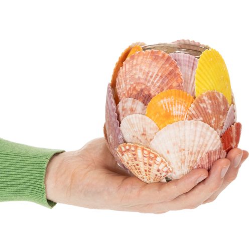 Itens Porta-velas náutico, lanterna, conchas marinhas verdadeiras, decoração para banheiro, ambiente de férias, 12 cm