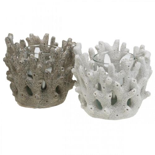 Floristik24 Lanterna com vidro em coral decoração marítima branca artificial Ø9.5cm 2pcs