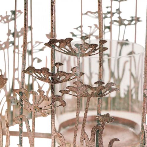 Floristik24 Conjunto de 2 lanternas decorativas para pendurar em metal Ø29/23,5cm para gaiolas