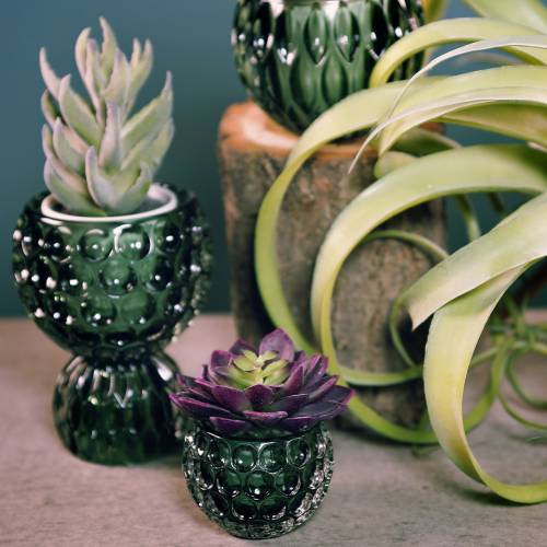 Floristik24 Lanterna de vidro verde escuro Ø11,5cm Alt.9cm 1p