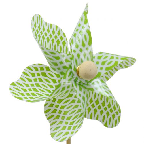 Floristik24 Moinho Mini Verde-Branco Ø9cm 12p