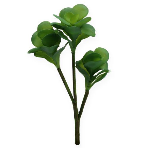 Floristik24 Plantas artificiais deserto repolho verde 25 cm 3 unidades