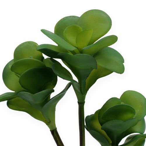 Floristik24 Plantas artificiais deserto repolho verde 25 cm 3 unidades