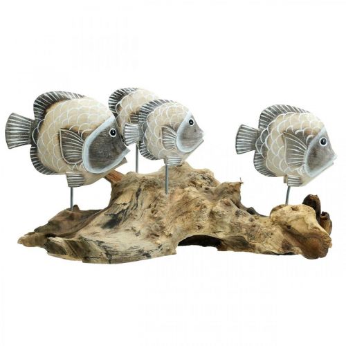 Floristik24 Peixes decorativos em madeira de raiz Figuras decorativas marítimas Castanho 38cm