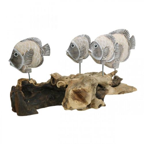 Floristik24 Peixes decorativos em madeira de raiz Figuras decorativas marítimas Castanho 38cm
