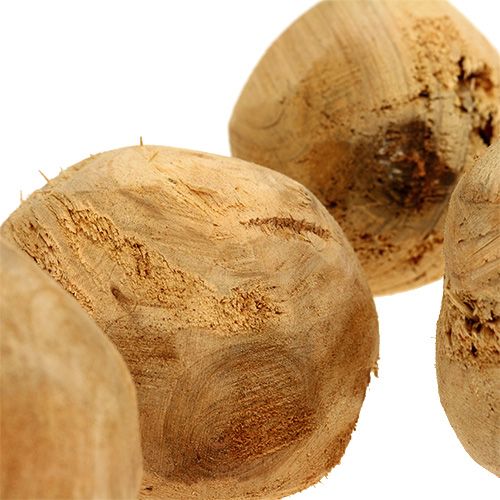 Floristik24 Raiz de madeira de abeto Ø7cm natural 5 unidades