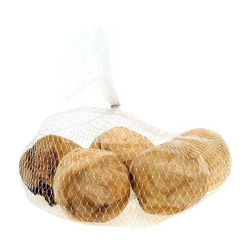 Floristik24 Raiz de madeira de abeto Ø7cm natural 5 unidades