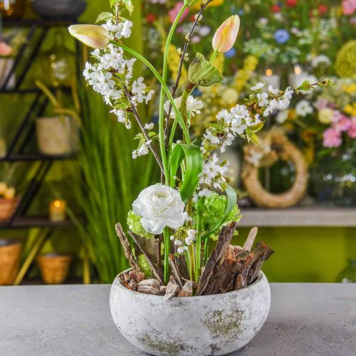 Itens Raiz madeira deco madeira lavada de branco, natureza 4-12cm 450g