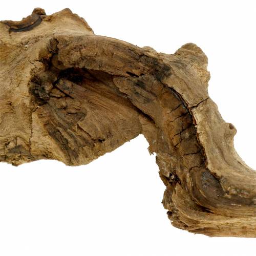 Floristik24 Raiz decorativa natural 1kg