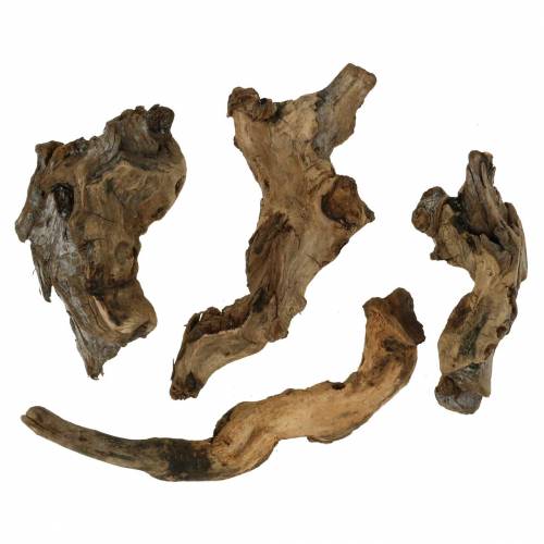 Floristik24 Raiz decorativa natural 1kg