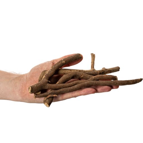 Galhos e raízes decorativas de madeira, naturalmente secas, 18 cm, 500 g | Floristik24.pt