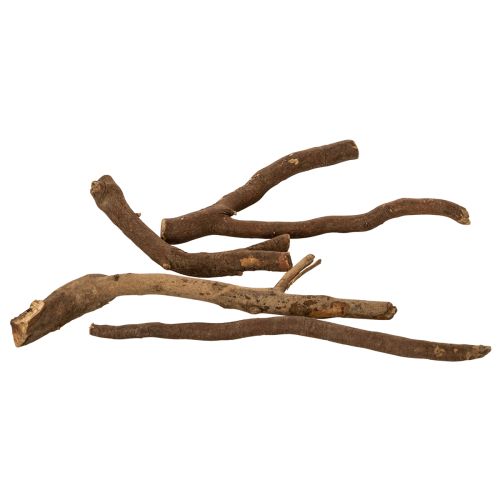 Galhos e raízes decorativas de madeira, naturalmente secas, 18 cm, 500 g | Floristik24.pt