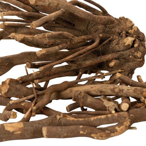Galhos e raízes decorativas de madeira, naturalmente secas, 18 cm, 500 g | Floristik24.pt