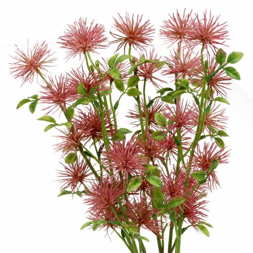 Floristik24 Xanthium seda flor rosa escuro 53cm 6pcs