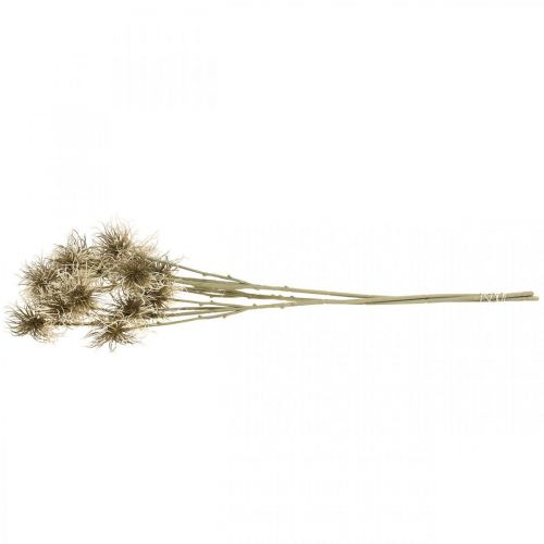 Itens Flor artificial de xanthium decoração de outono 6 flores creme, marrom 80 cm 3 unidades
