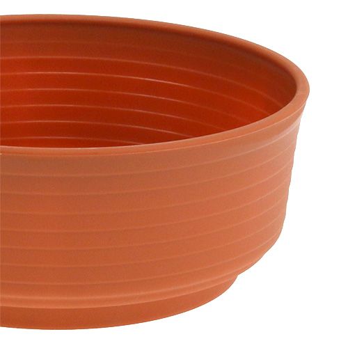 Floristik24 Tigela em Z de plástico Ø22cm 10 peças