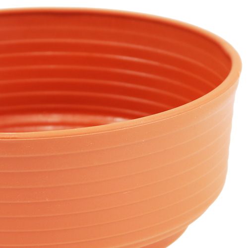 Itens Z-bowl plástico Ø 16cm - 22cm 10 peças