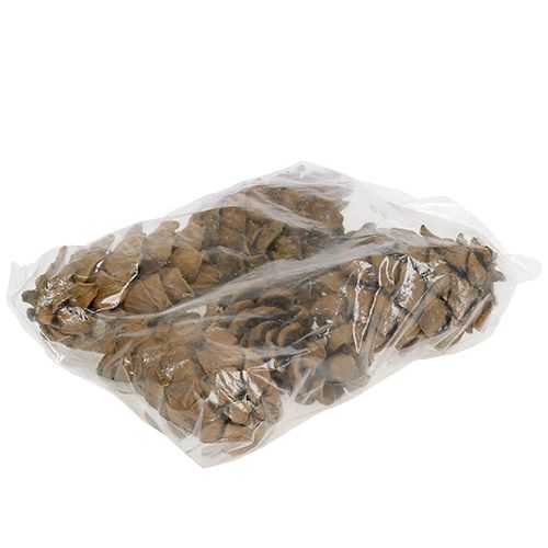 Floristik24 Cones natureza 9cm - 10cm 6 un.