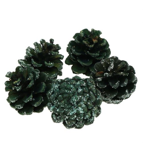 Pinhas verdes geladas 200g