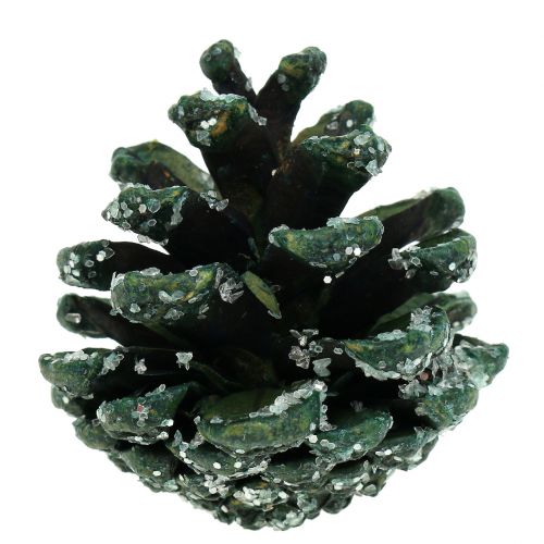Floristik24 Pinhas verdes geladas 200g