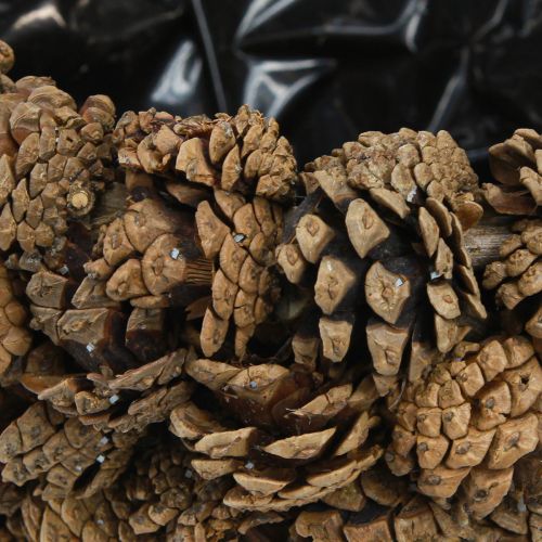 Itens Cesta de plantas em cone pinhas naturais Ø33cm A17cm