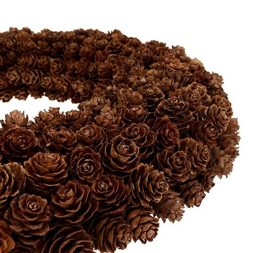 Floristik24 Coroa de cone Ø31cm Castanho