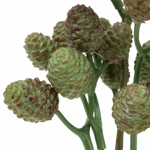 Floristik24 Cone Branch Green 33cm Planta artificial como a real!
