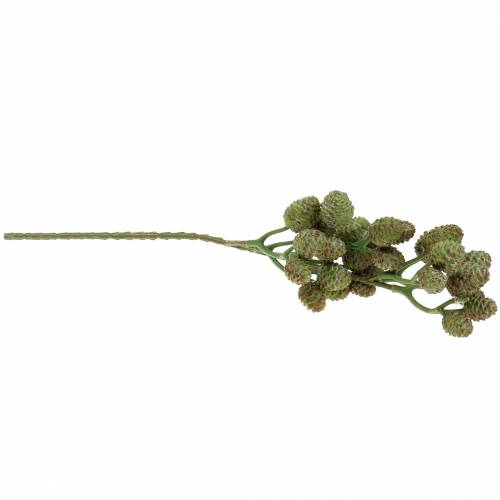 Floristik24 Cone Branch Green 33cm Planta artificial como a real!