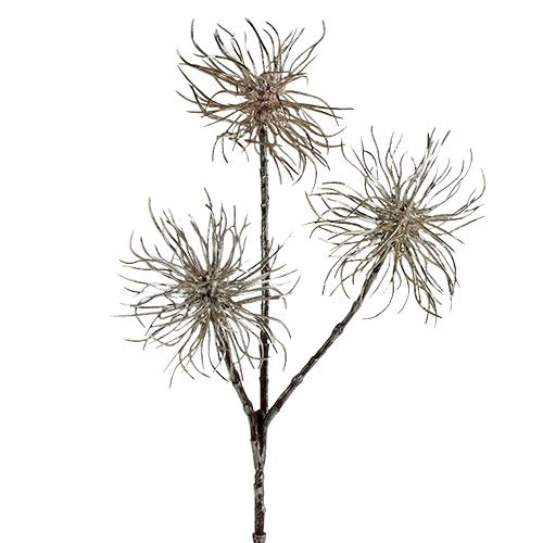 Itens Ramo de hamamélis champanhe 45 cm 3 unidades