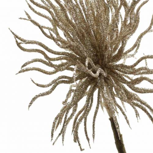 Floristik24 Ramo de clematis artificial champanhe com glitter 32cm 5pcs
