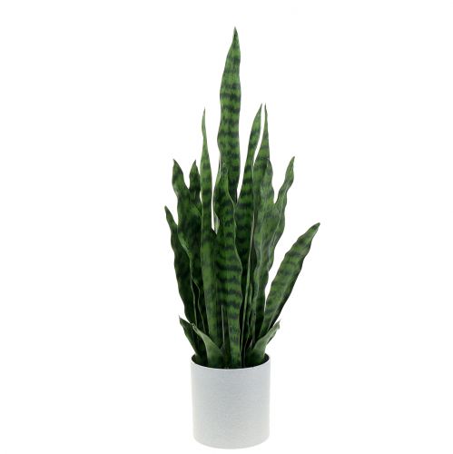 Floristik24 Sansevieria artificial em pote H62cm