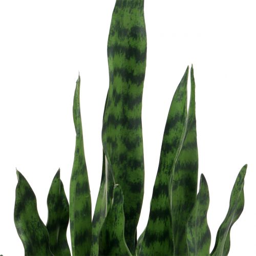Floristik24 Sansevieria artificial em uma panela Alt.90cm