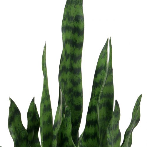 Itens Sansevieria artificial em pote H62cm