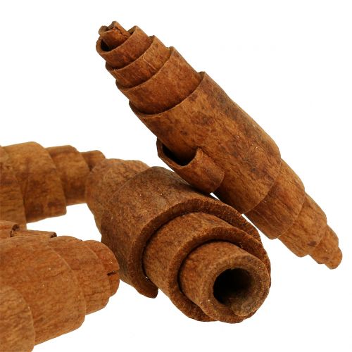 Floristik24 Decoração de croissant de canela 6,5cm - 7cm 30 un