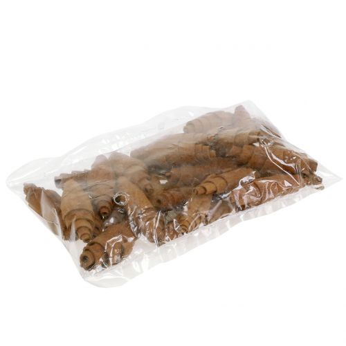 Floristik24 Decoração de croissant de canela 6,5cm - 7cm 30 un