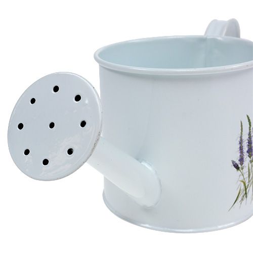 Floristik24 Regador de zinco Ø10,5cm Alt.10cm com alfazema