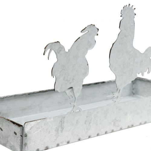 Floristik24 Tigela de zinco com frangos 30cm x 12cm Alt.15,5cm