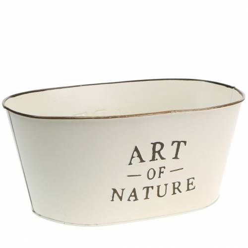 Floristik24 Tigela de flores oval creme de zinco 27×18cm A12,5cm