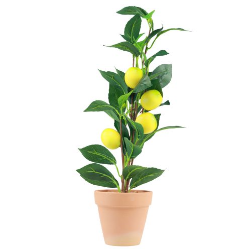 Floristik24 Limoeiro em vaso planta artificial 42cm