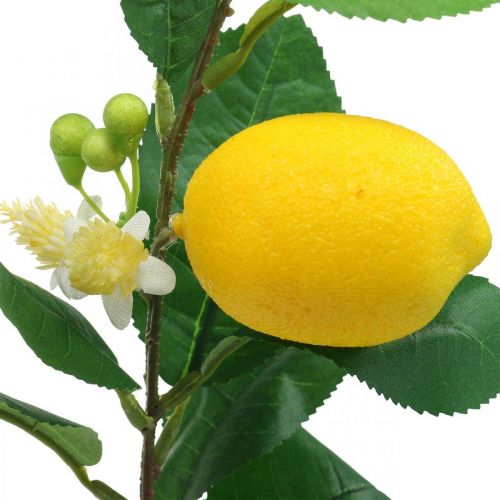 Floristik24 Ramo Deco limão ramo de limão artificial 42cm 3pcs