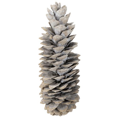 Itens Pinhas de açúcar caiadas de branco 20cm - 30cm